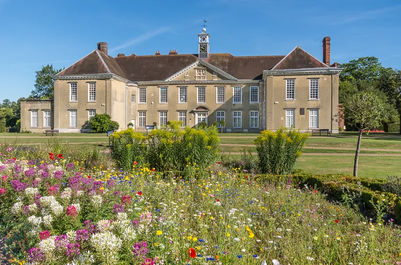 Things to Do in Reigate: 15 Days Out Checked August 2026